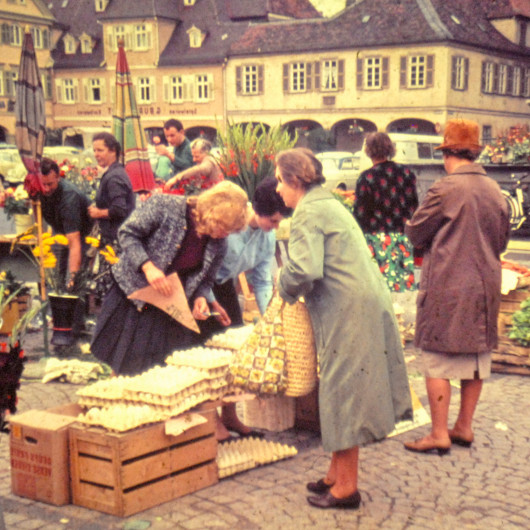 Blumen auf dem Ludwigsburger Wochenmarkt