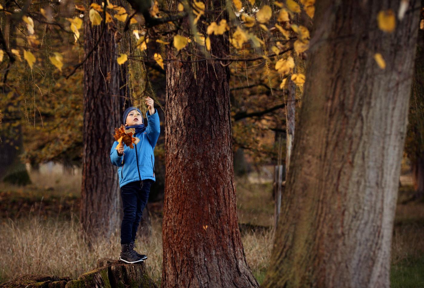 Junge spielt mit Blättern vom Baum