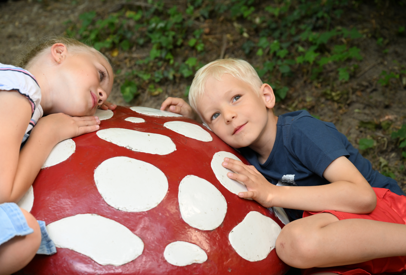 Kinder lauschen der Musik, die aus dem Fliegenpilz kommt