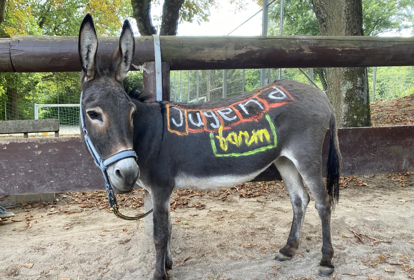 Esel, der mit dem Jugendfarm-Logo bemalt wurde