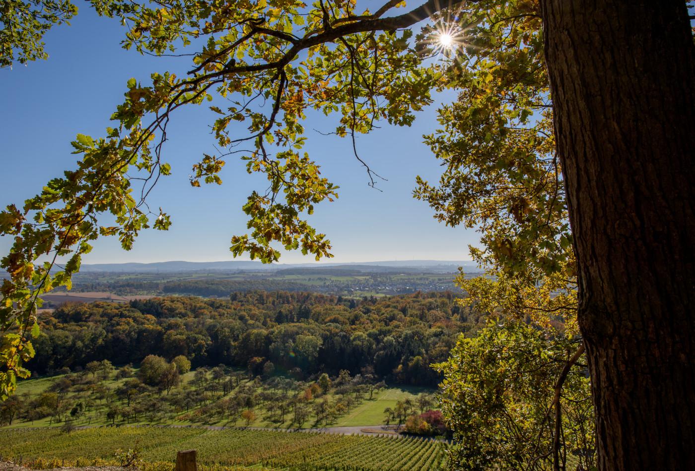 Panoramablick vom Lemberg