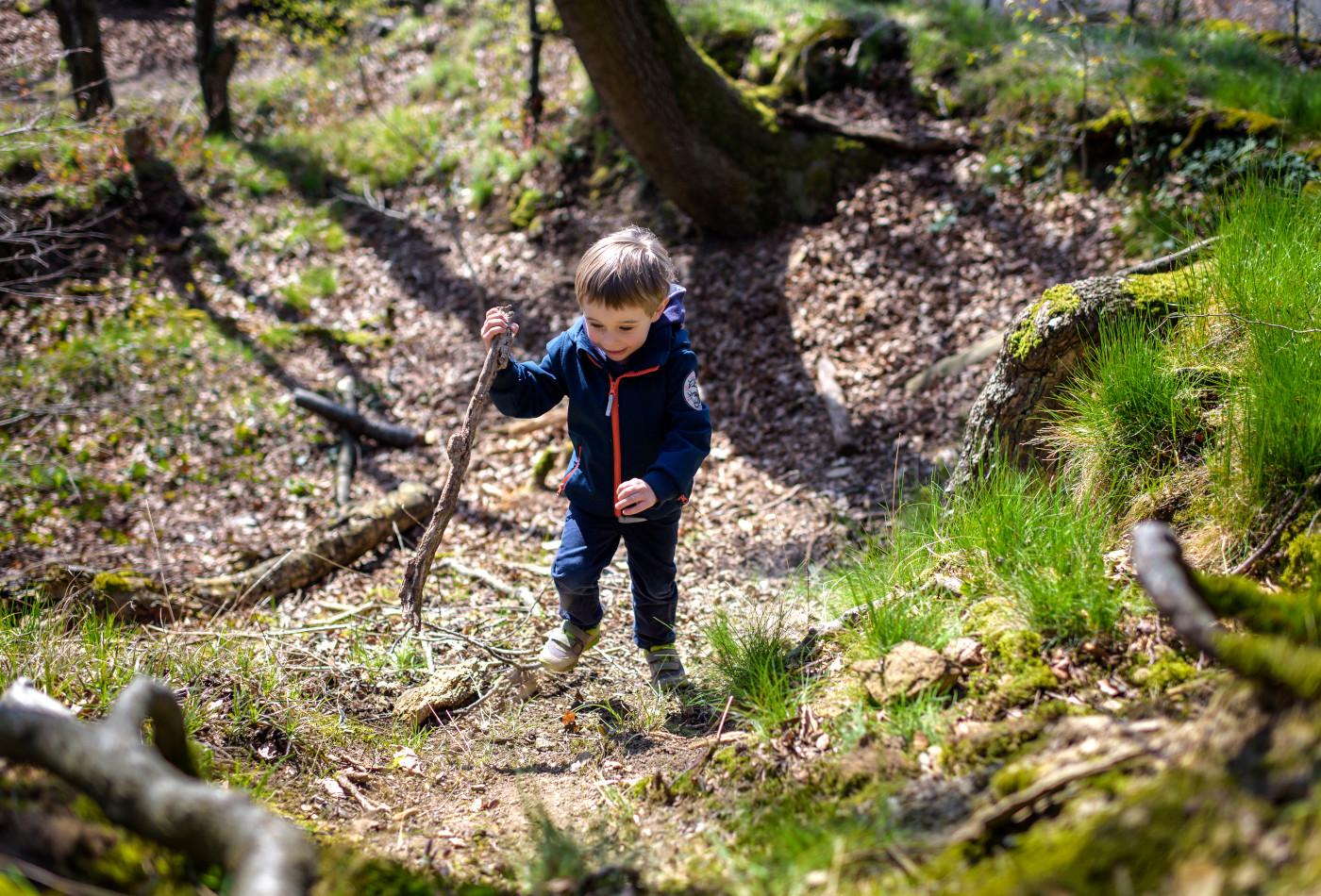 Junge läuft mit Wanderstock durch den Wald