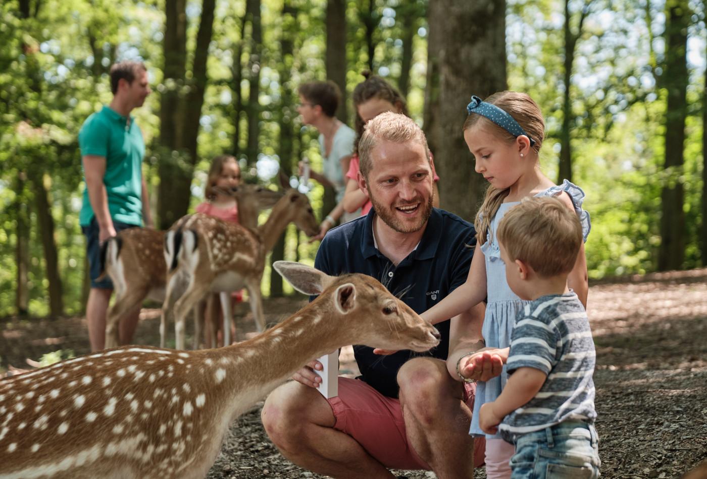 Eine Familie streichelt im Wildpark Tripsdrill ein Reh