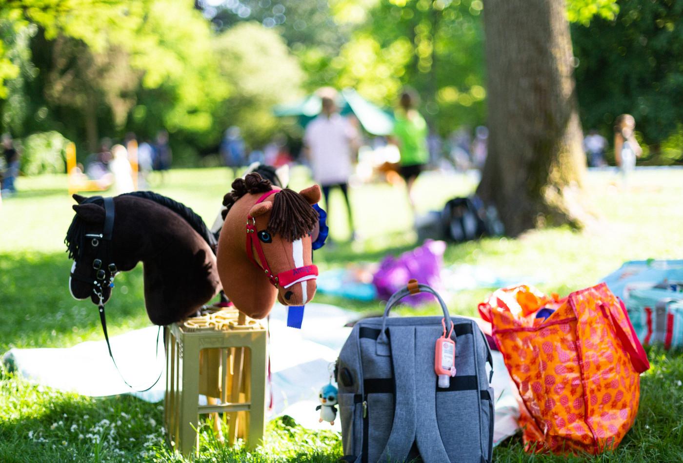 Zwei Steckenpferde für das Hobby Horse Turnier