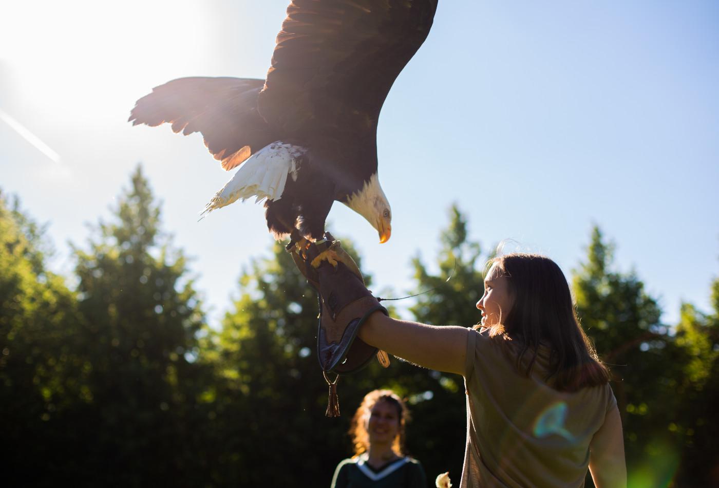 Mädchen mit Greifvogel auf dem Arm