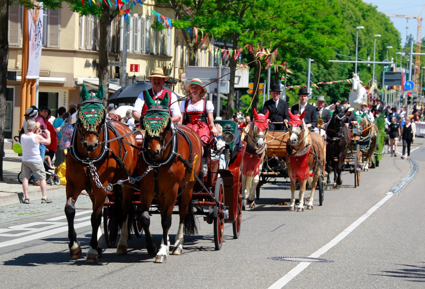 Geschmückte Kutschen beim Festumzug des Pferdemarktes