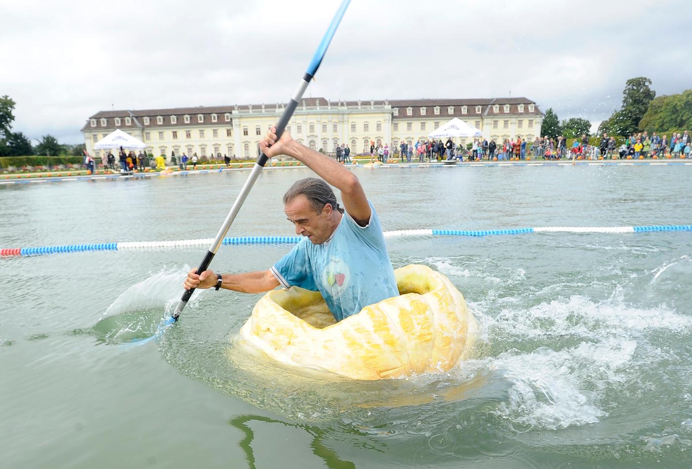 Mann rudert in ausgehöhltem Riesenkürbis bei der Kürbisregatta