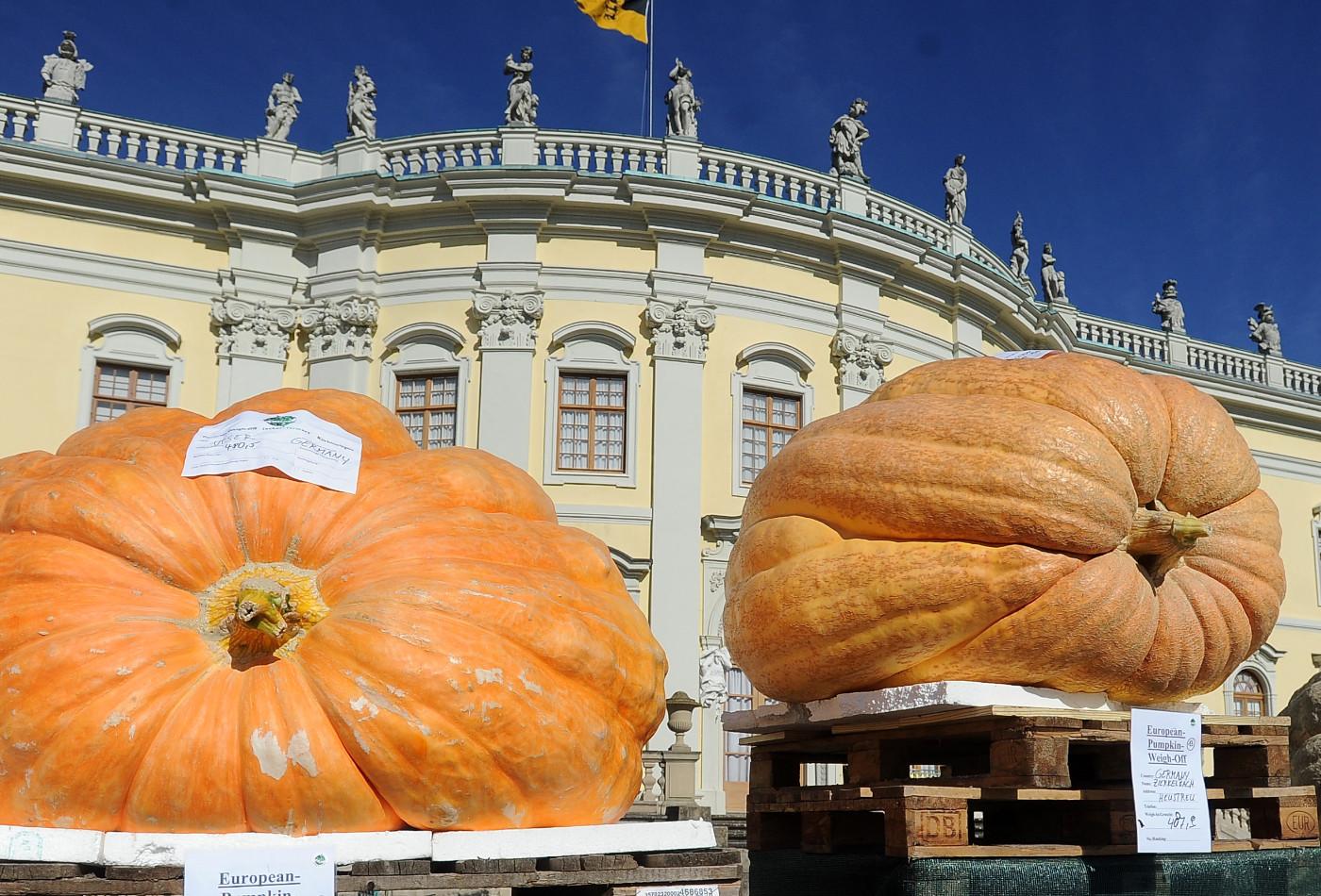 Riesenkürbisse vor dem Residenzschloss Ludwigsburg