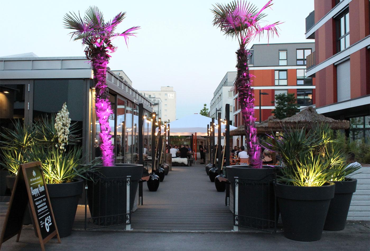 Außenansicht Die Blaue Agave