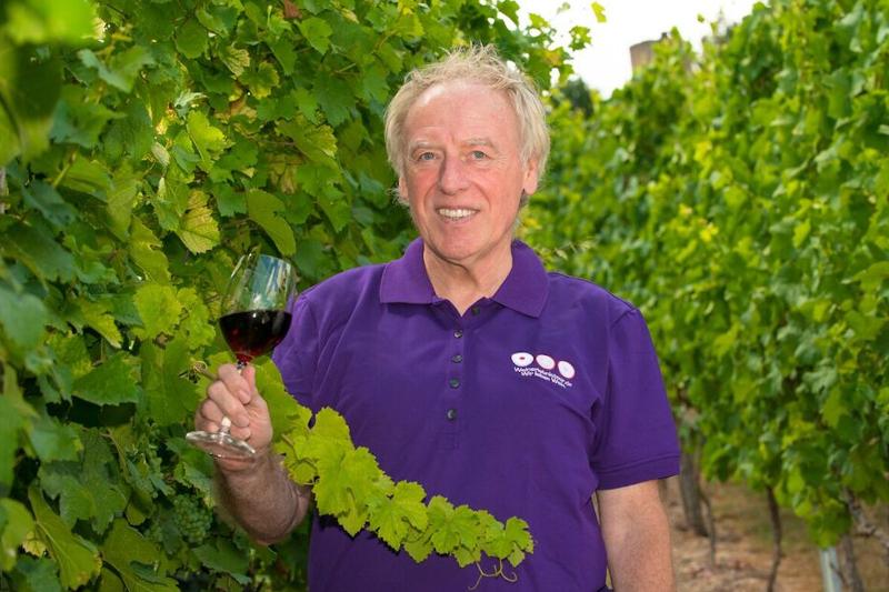 Ein Mann steht zwischen Weinreben und hält ein Glas Rotwein in der Hand. Er lacht und trägt ein lilanes Polohemd.