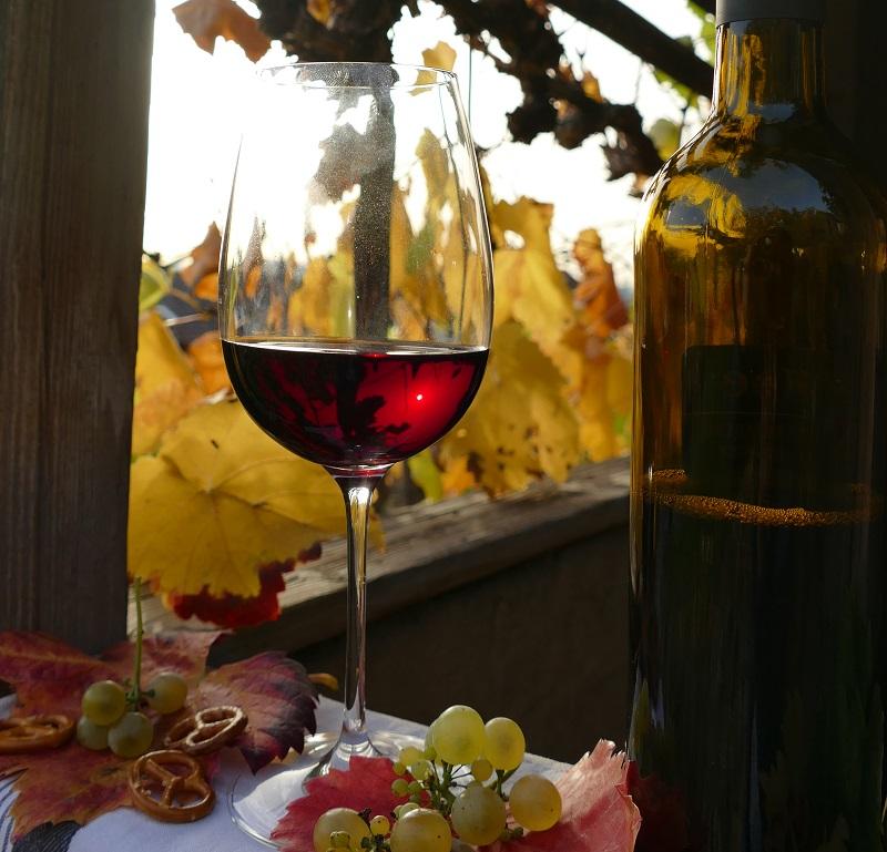 Rotweinglas in der Abendsonne vor herbstlichem Weinlaub und daneben liegen Weintrauben und Salzbrezeln