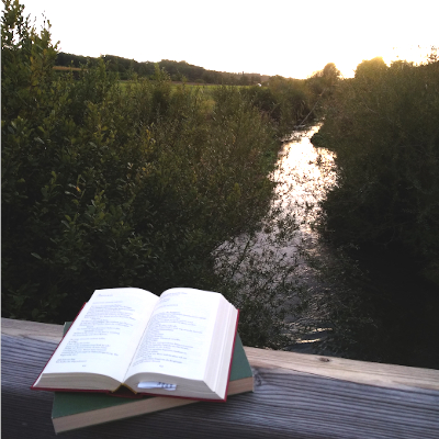 Blick auf die Zugwiesen, Neckar, Bäume und Sträucher. Im Vordergrund liegen Bücher