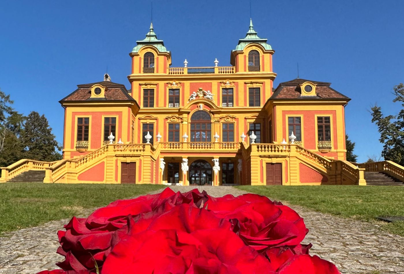 Blick auf das Schloss Favorite Ludwigsburg, im Vordergrund ein Strauß roter Rosen