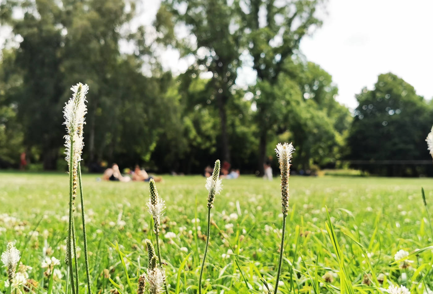 Bärenwiese | Tourismus Ludwigsburg | Ludwigsburg