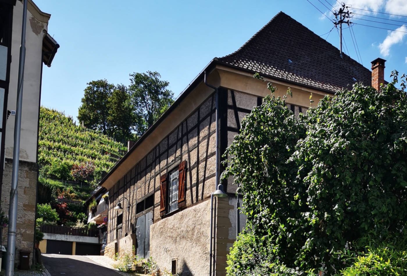 Blick auf das Antiquariat zu Füßen der Weinberge