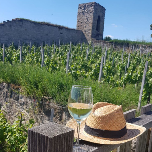 Die Burgruine Hoheneck und die Weinfelder im Hintergrund, im Vordergrund ein Sonnenhut und ein Glas mit Weißwein.