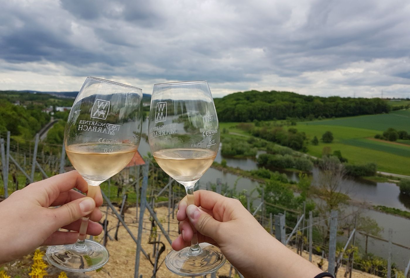 Man sieht zwei Hände, die mit Weingläsern anstoßen. Im Hintergrund Ausblick auf den Neckar und die Zugwiesen in Ludwigsburg