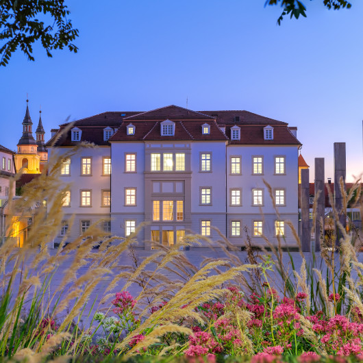 Blick auf das Rathaus im Morgenlicht mit Gräsern im Vordergrund