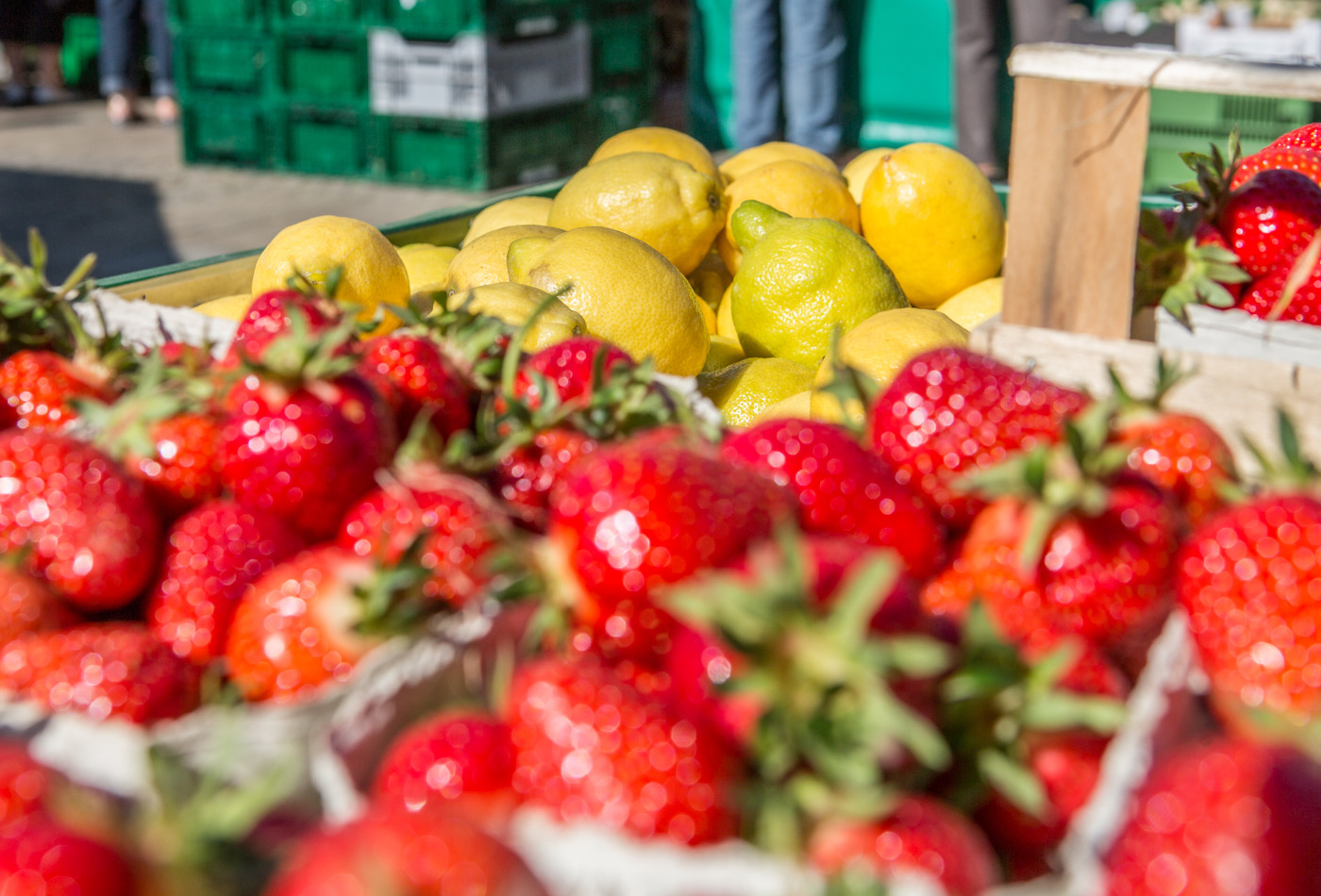 Erdbeeren und Zitronen auf dem ludwigsburger Wochenmarkt