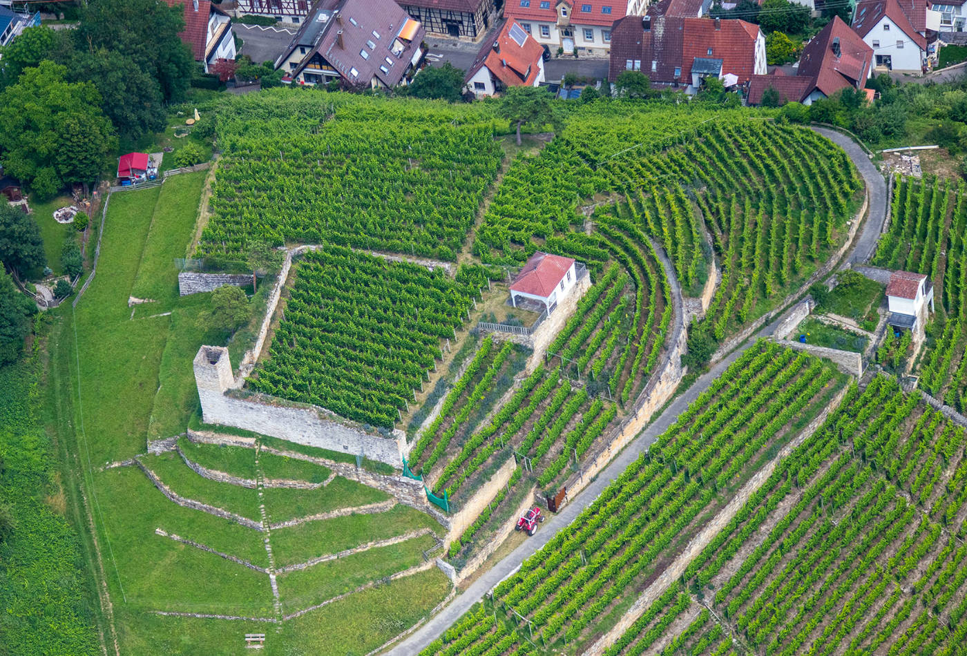 Weinberge und Burgruine Hoheneck aus der Vogelperspektive