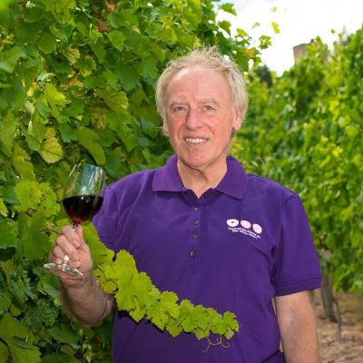 Der Gästeführer steht zwischen Weinreben und hält ein Glas mit Rotwein in der Hand