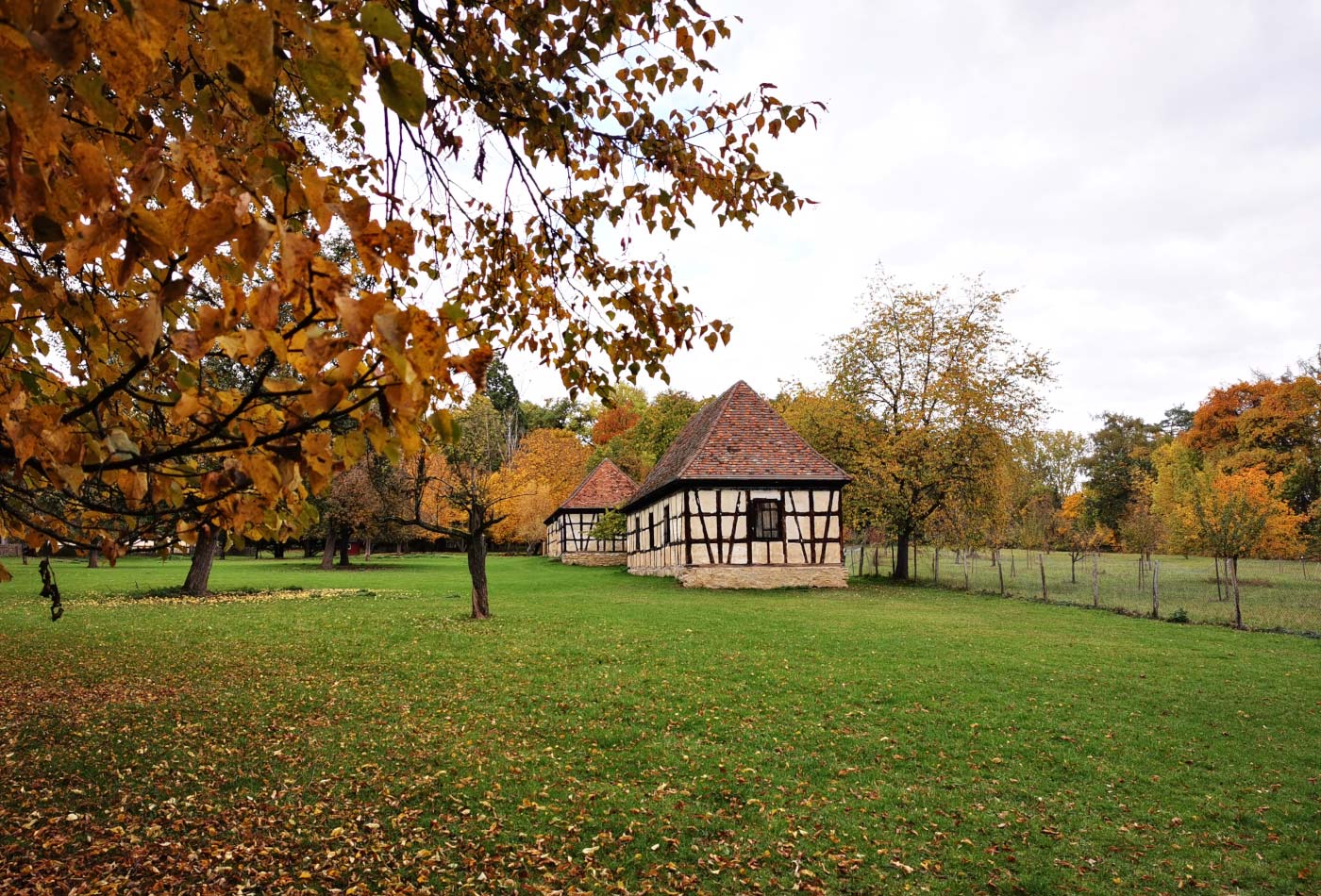 Blick auf das herbstlich eingefärbte Favoritepark.