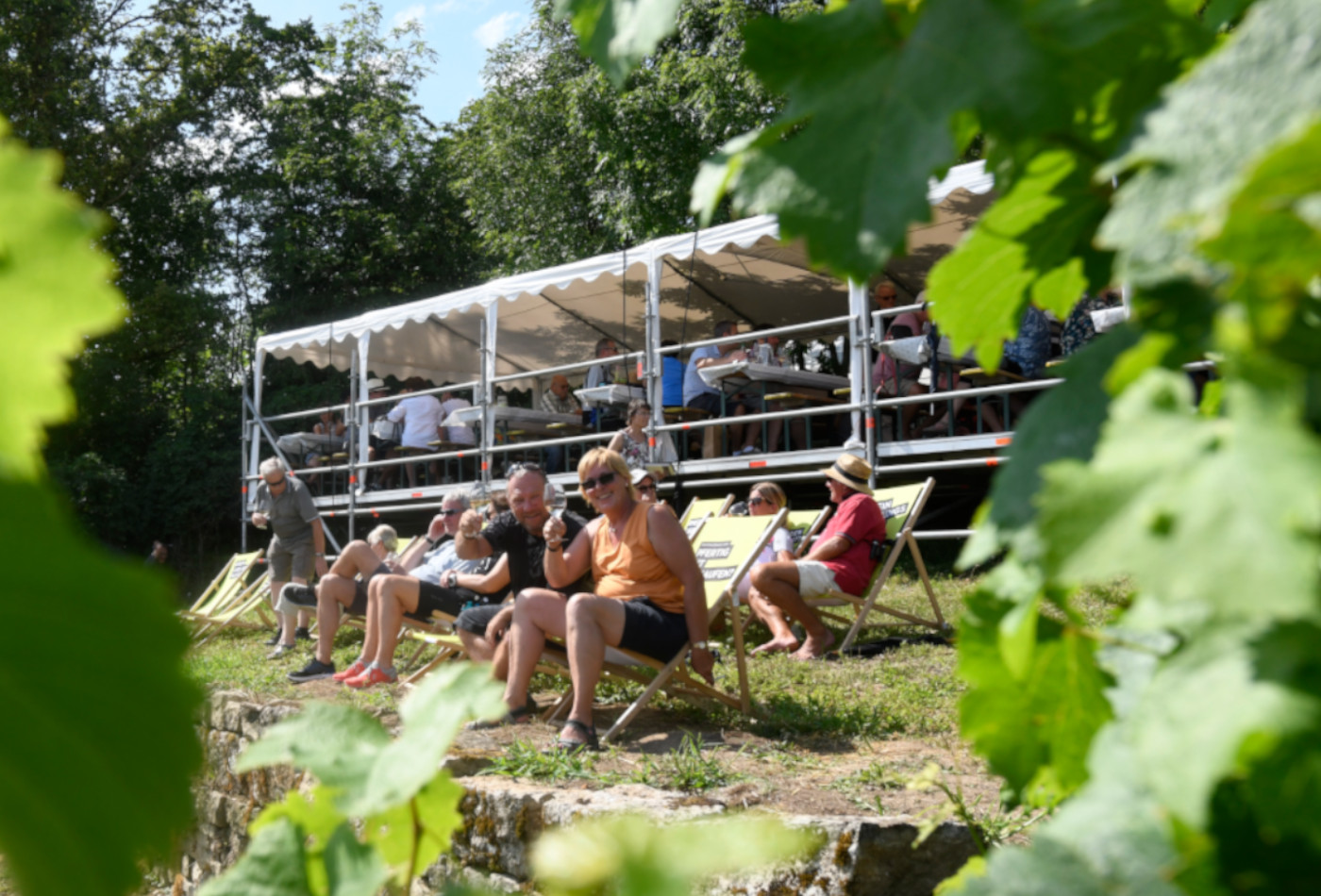 Blick auf die Steillagentage durch Weinblätter