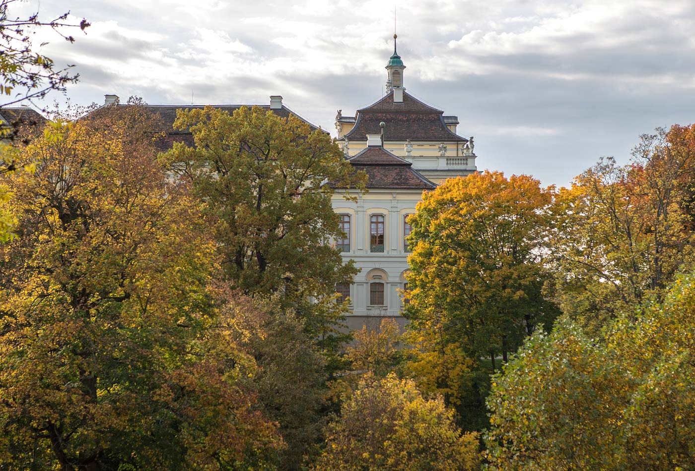 Blick auf das Schloss, im Vordergrund herbstlich gefärbte Bäume.