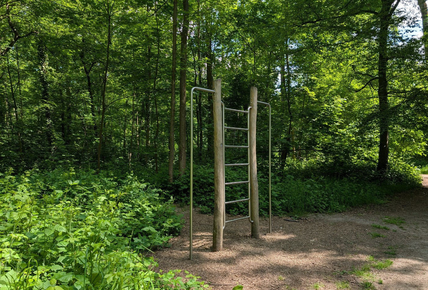 Ein Sportelement mit Sprossen steht schattig unter Bäumen, Trimm-dich-Pfad