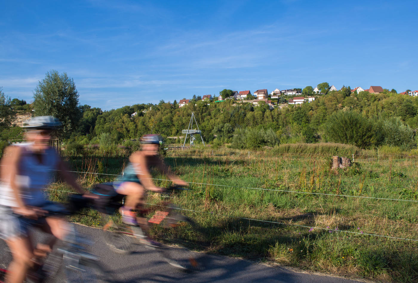 Blick auf zwei Radlfahrer auf dem Neckartalradweg