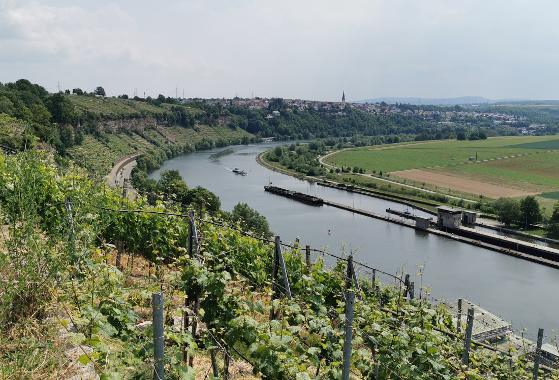 Felsenrunde Blick auf die Steillagen, die Zugwiesen und den Neckar.