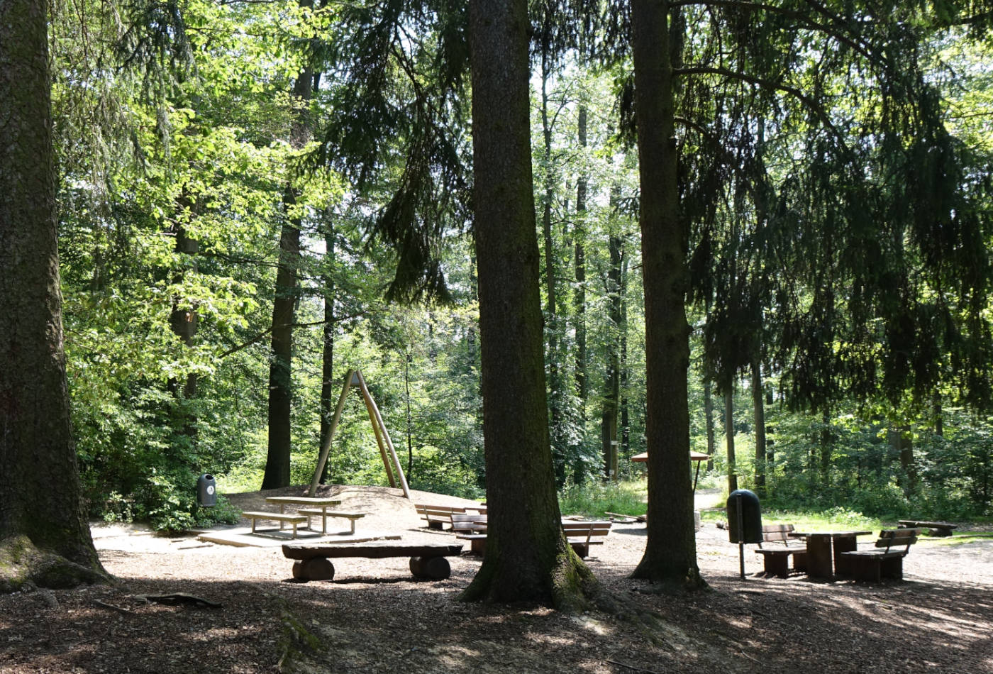 Bänke und Tische unter schattigen Bäumen auf dem Lemberg
