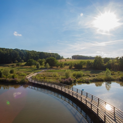 Blick auf eine Brücke, die über den Neckar führt. Grüne Wiesen bilden den Hintergrund. Der Himmel ist blau, die Sonne strahlt.