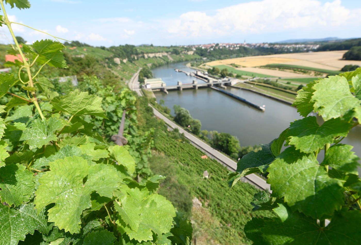Steillagen und Fluss Neckar aus der Vogelperspektive