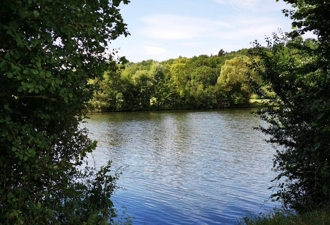Blick durch Bäume auf einen Fluss.