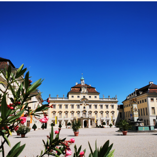 Im Vordergrund ist unscharf eine Pflanze zu sehen, im Hintergrund ist das Residenzschloss (scharf) zu sehen.