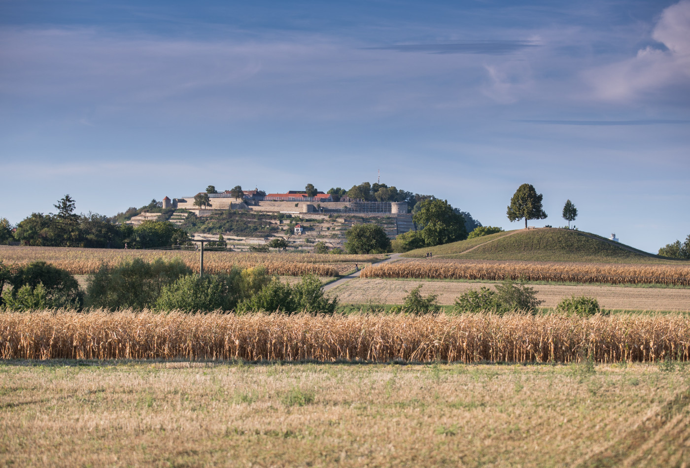 Blick auf den Berg Asperg mit der Festung Hohenasperg 