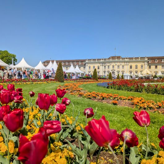 Blick auf die blühenden Gärten des Residenzschlosses Ludwigsburg im Frühling, mit roten Tulpen im Vordergrund und weißen Festzelten sowie dem Schloss im Hintergrund