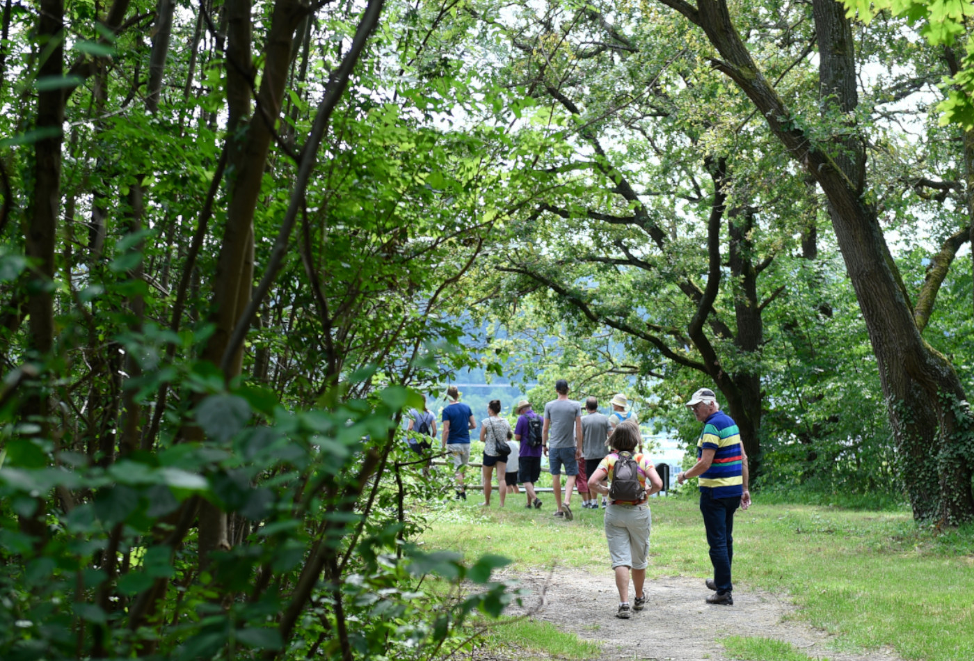 Spaziergang in der Natur