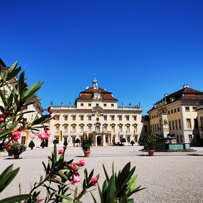 Im Vordergrund Oleander, im Hintergrund das Residenzschloss mit blauem Himmel