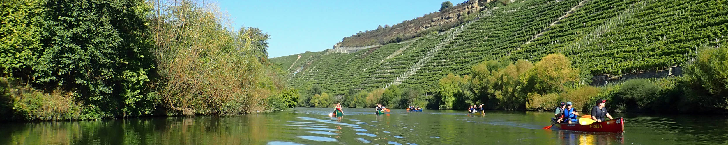 Kanus auf dem Neckar entlang der Steillagen.