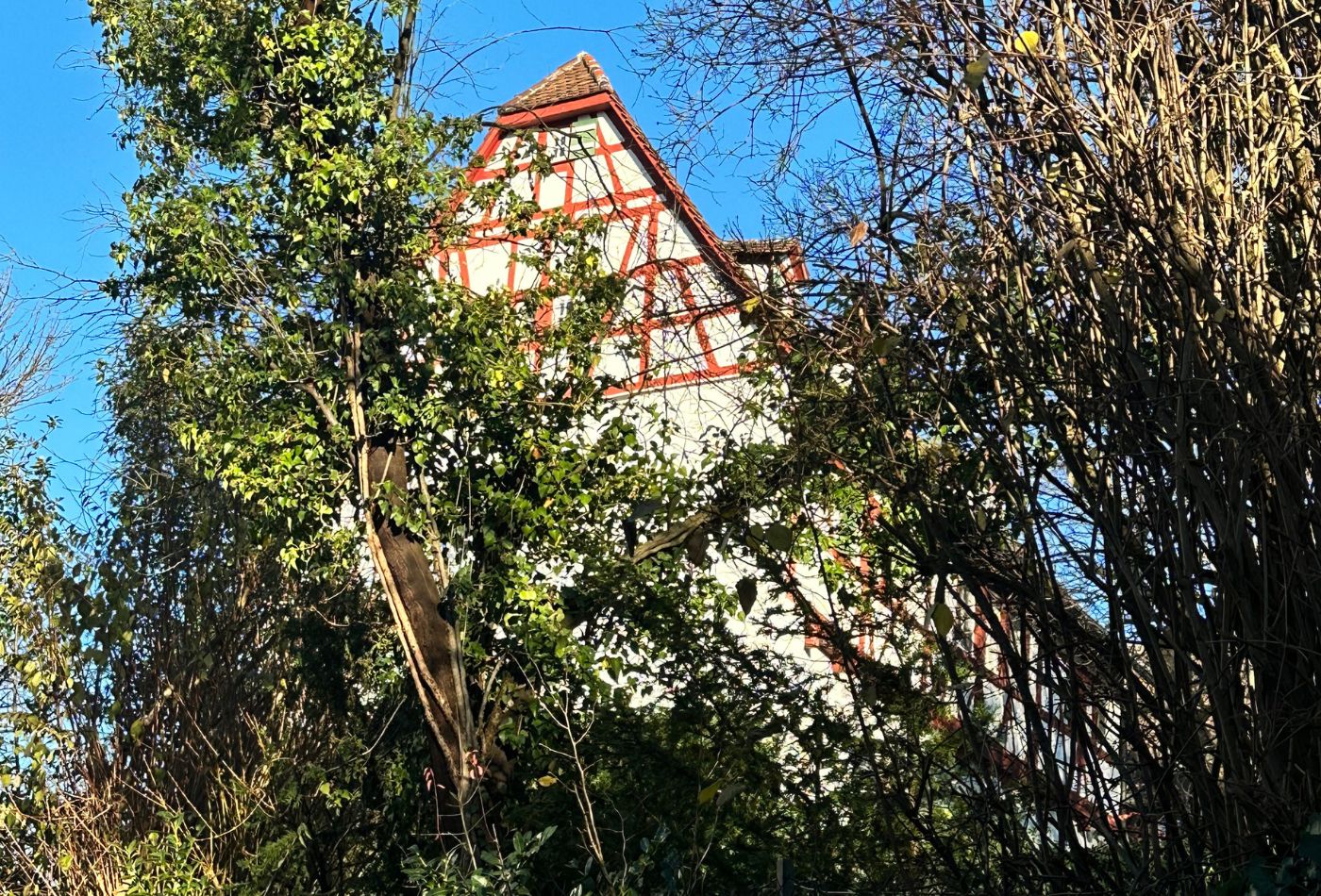 Blick durch die Blätter eines Baumes auf ein Fachwerkhaus