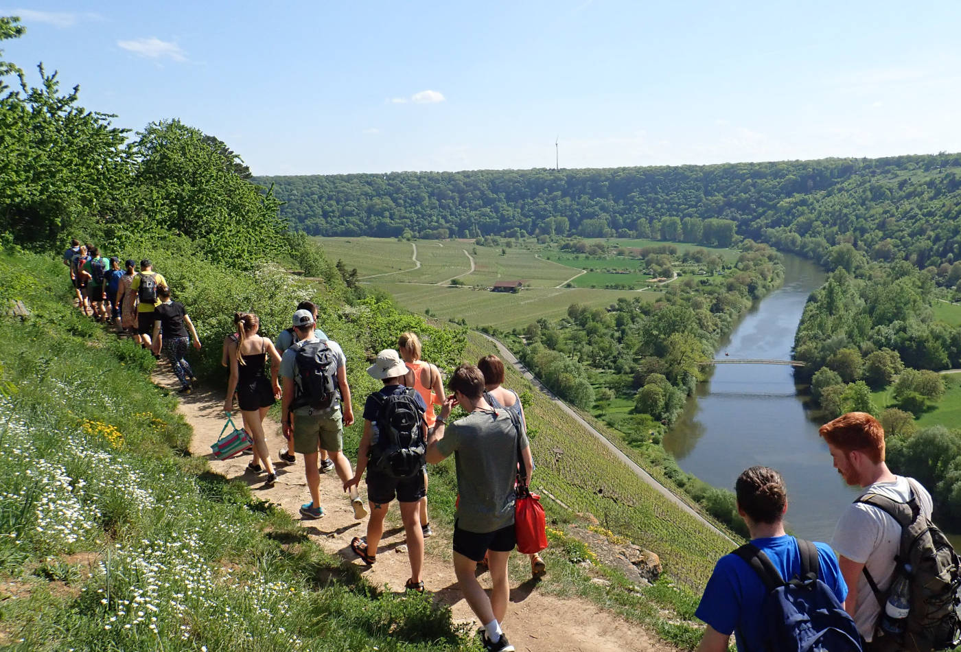 Blick auf den Neckar und eine Kanu-Tour-Gruppe im Steilhang