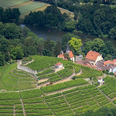 Luftbild von der Burgruine Alt Hoheneck, umgeben von Weinbergen.