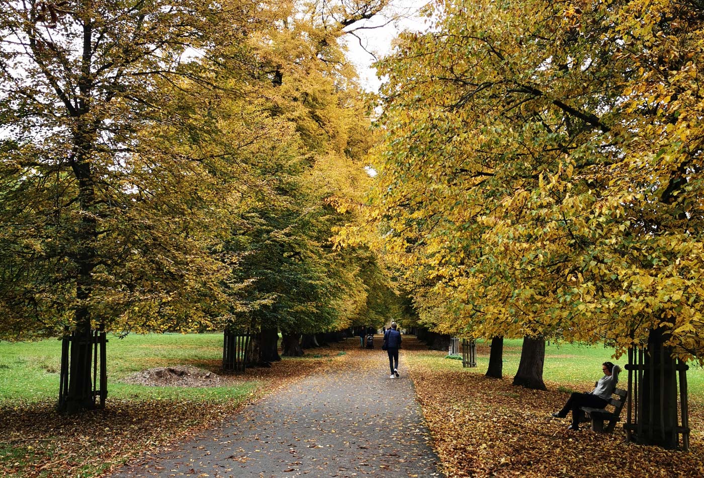 Blick auf den Weg, welcher durch den Favoritepark führt.