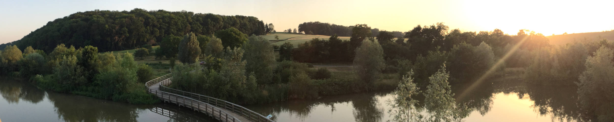 Neckarbiotop Zugwiesen am Neckar im Abendlicht.