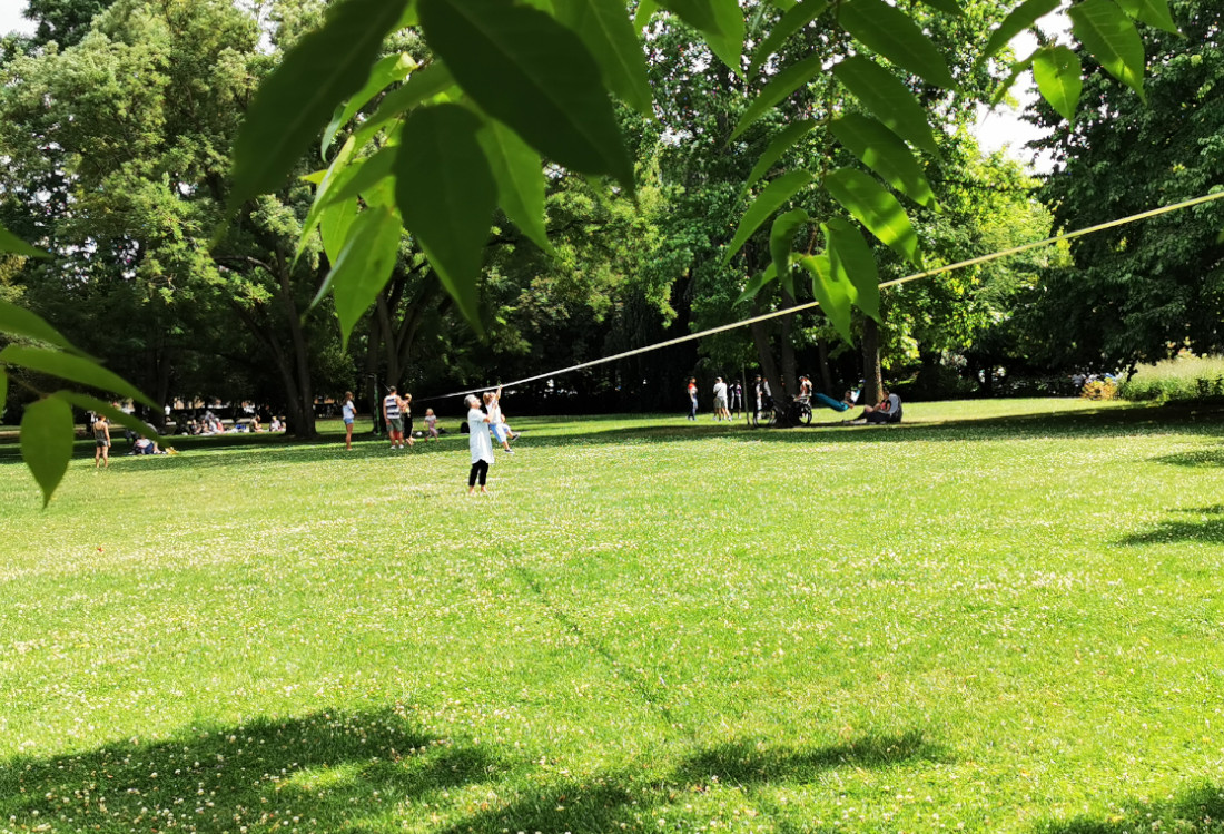 Bärenwiese Grüne Wiese mit Bäumen zwischen denen eine Slackline gespannt ist.