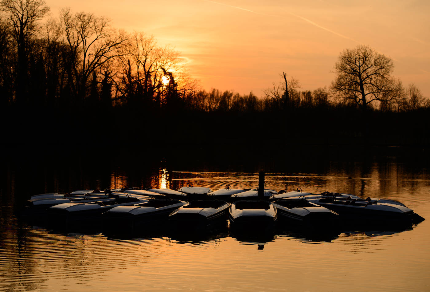 Tretboote auf dem Monrepos See vor untergehender Sonne