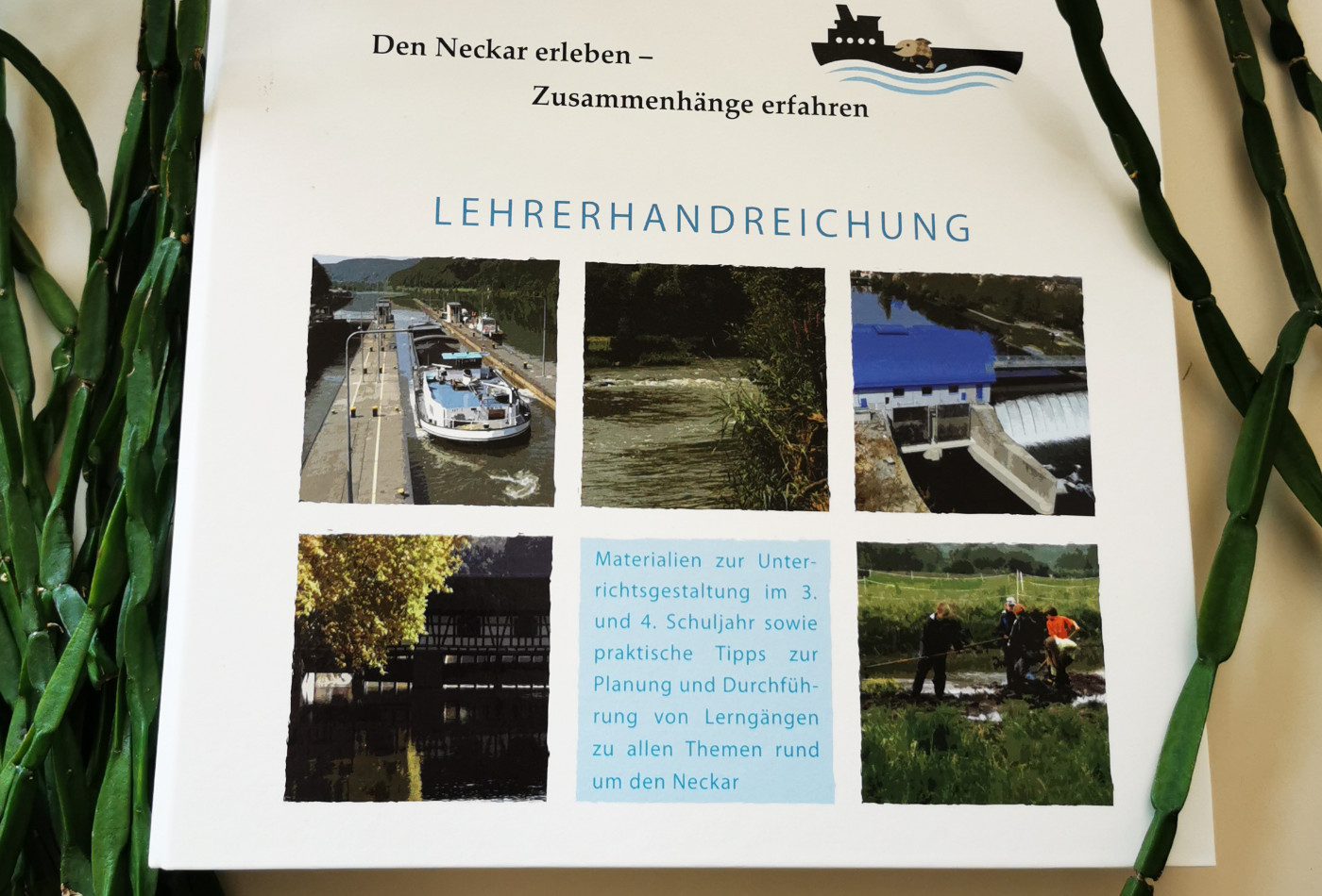 Abbildung von einer Lehrhandreichung zum Thema Fische und Schiffe im Neckar.
