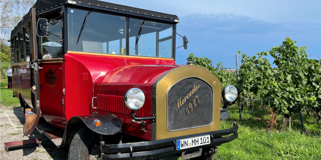 Ein roter Oldtimer-Bus steht inmitten grüner Weinreben